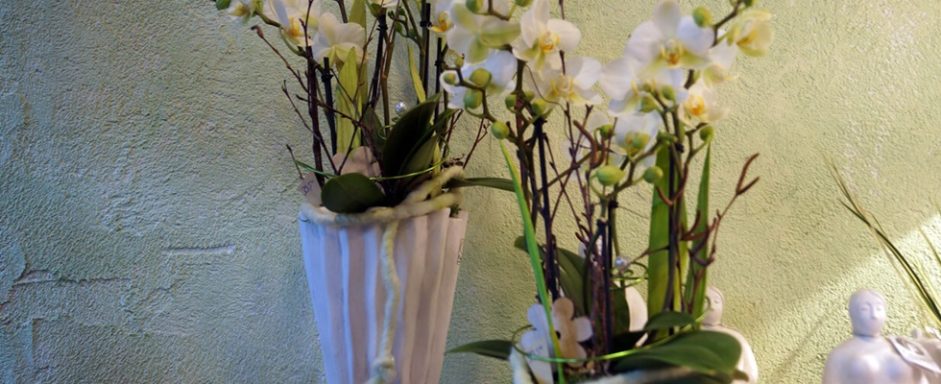 Zwei Orchideengebinde in eleganten Vasen vor einer hellen Wand.